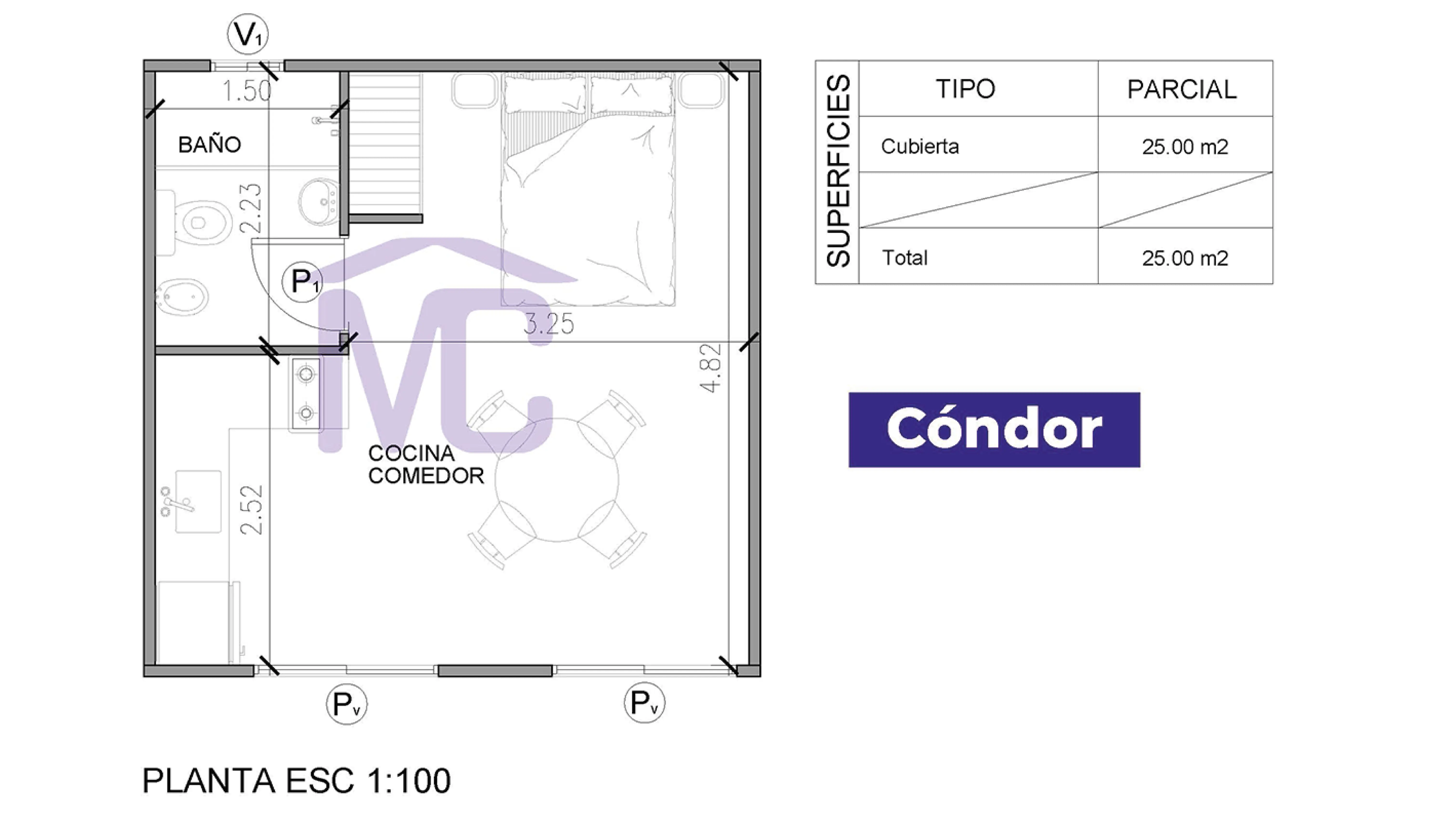 CÓNDOR - Imagen 4